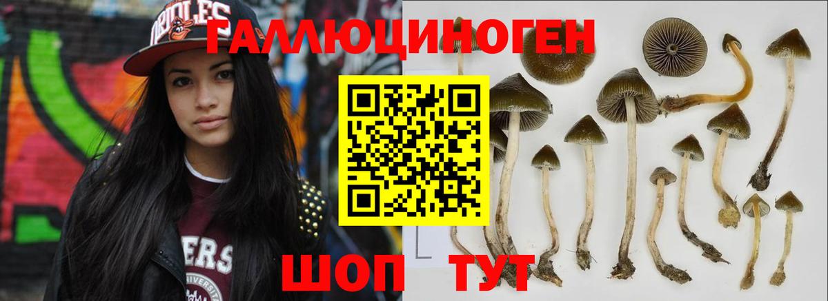 Галлюциногенные грибы GOLDEN TEACHER Ивантеевка