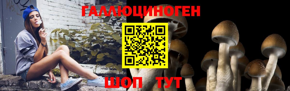 Ивантеевка  Псилоцибиновые грибы мухоморы  Вход с VPN 